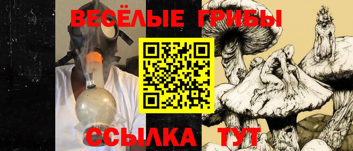 Дубна  Галлюциногенные грибы GOLDEN TEACHER  Вход с VPN  купить наркотик  Псилоцибиновые грибы Magic Shrooms 